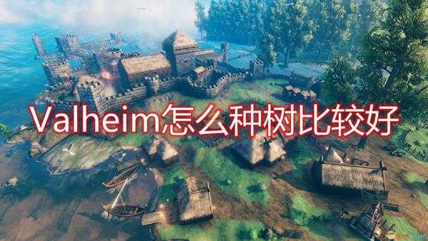 《Valheim》种树方法介绍