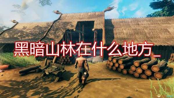 《Valheim：英灵神殿》黑暗山林寻找方法介绍