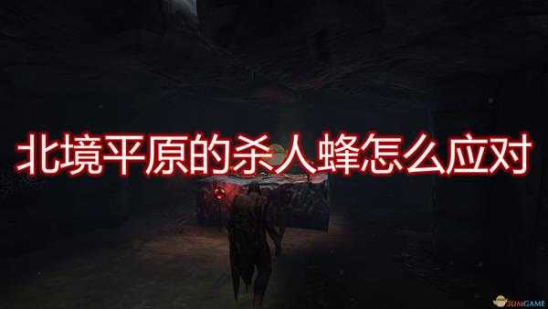 《Valheim：英灵神殿》北境平原杀人蜂应对方法介绍