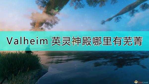 《Valheim：英灵神殿》芜菁的采集地点