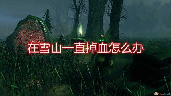 《Valheim：英灵神殿》雪山太冷一直掉血解决方法介绍