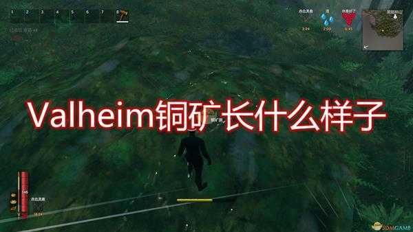 《Valheim：英灵神殿》铜矿长相外观介绍