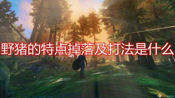 《Valheim：英灵神殿》野猪特点掉落及打法介绍