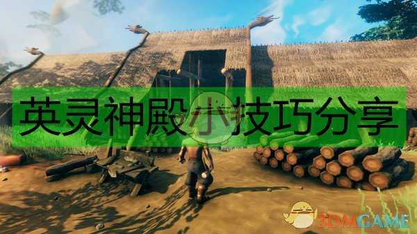 《Valheim：英灵神殿》小技巧分享