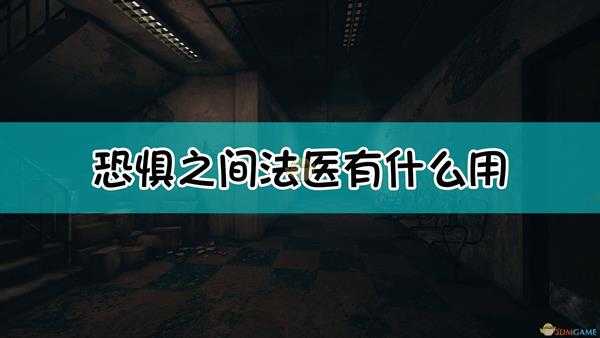 《恐惧之间》法医验尸技能玩法作用详解