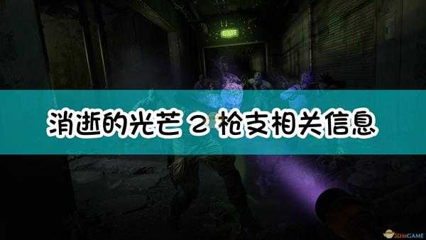 《消逝的光芒2》枪支相关信息介绍