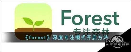 forest深度专注模式开启方法