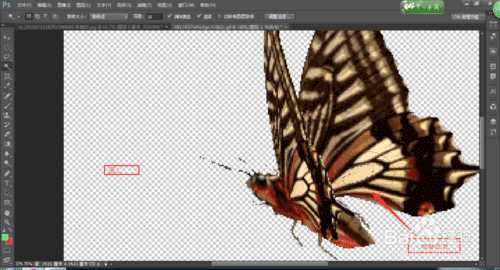 photoshop cs6魔棒工具使用技巧详解