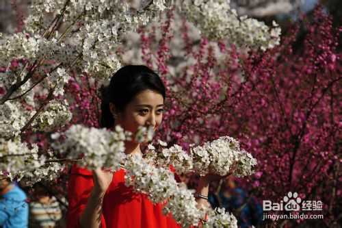 数码单反相机拍摄入门技巧心得之二：力求画面简洁