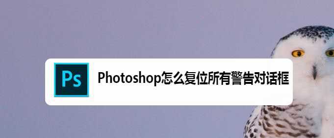 ps警告窗口怎么恢复? Photoshop复位所有警告对话框的技巧